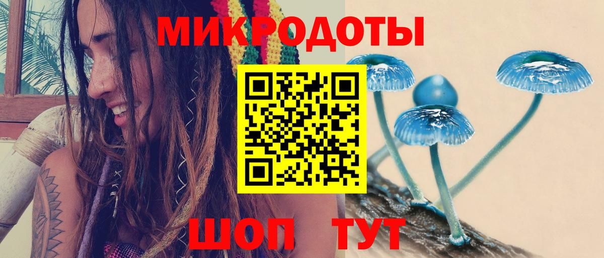 Галлюциногенные грибы Magic Shrooms  что такое наркотик  Королёв  Галлюциногенные грибы Cubensis  Вход с VPN 